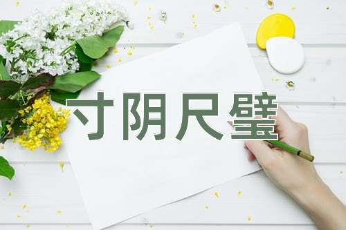 成语寸阴尺璧