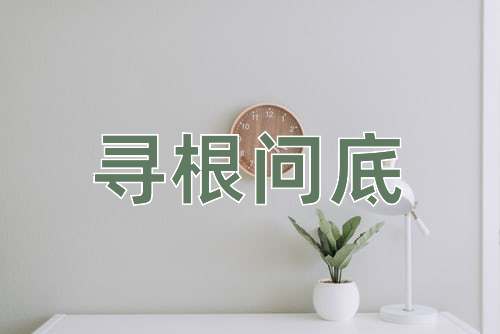 成语寻根问底