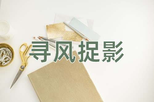 成语寻风捉影
