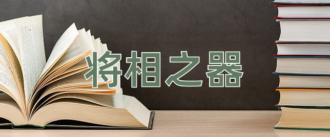 成语将相之器