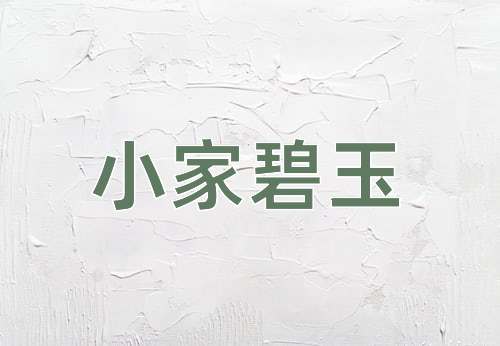 成语小家碧玉