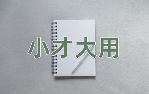成语小才大用