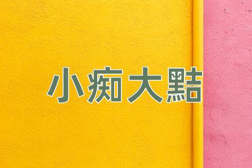 成语小痴大黠