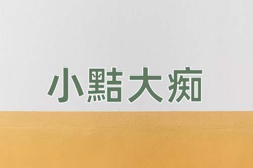 成语小黠大痴