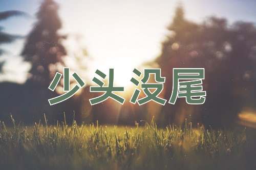 成语少头没尾