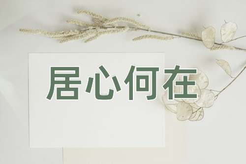 成语居心何在