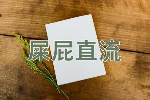 成语屎屁直流