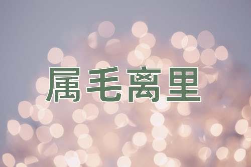 成语属毛离里
