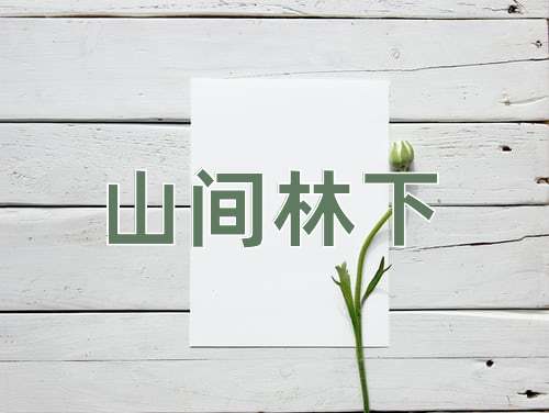 成语山间林下