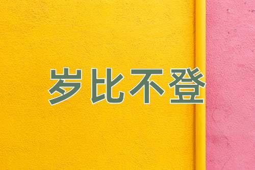 成语岁比不登