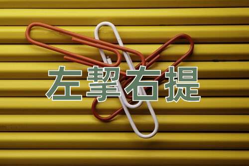 成语左挈右提