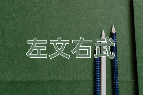 成语左文右武