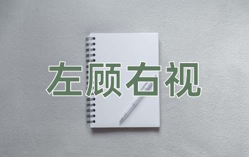 成语左顾右视