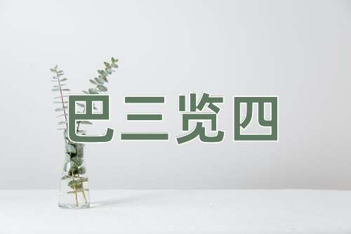 成语巴三览四