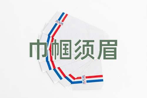 成语巾帼须眉