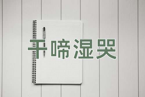 成语干啼湿哭