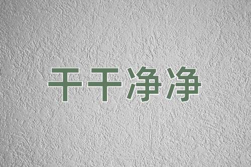 成语干干净净