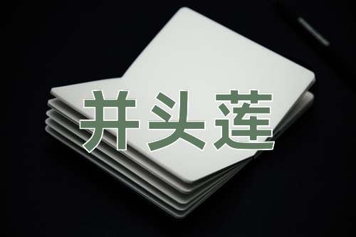 成语并头莲