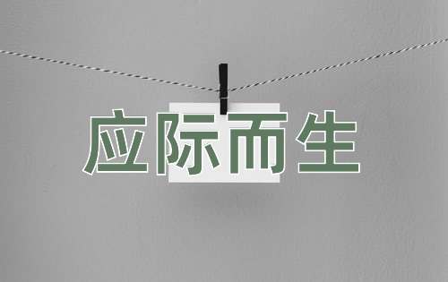 成语应际而生