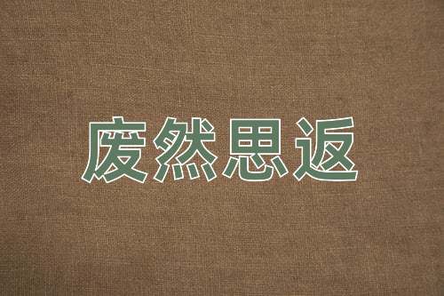 成语废然思返