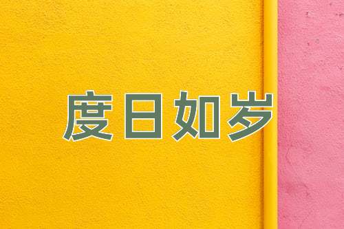 成语度日如岁