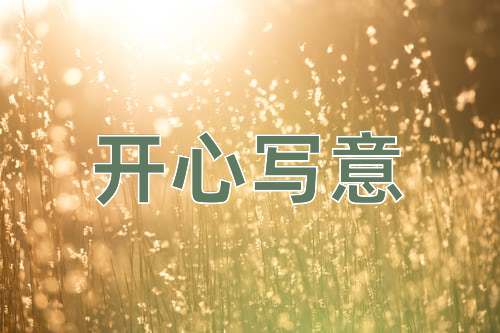 成语开心写意