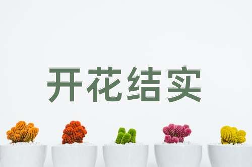 成语开花结实