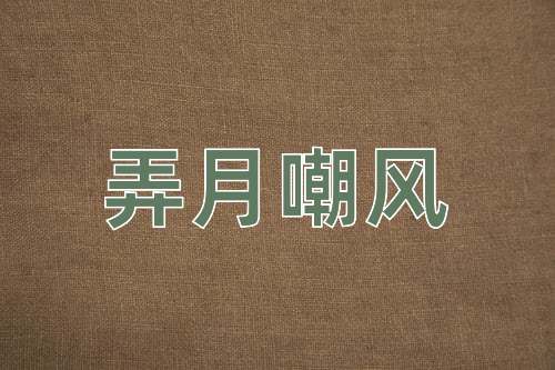 成语弄月嘲风