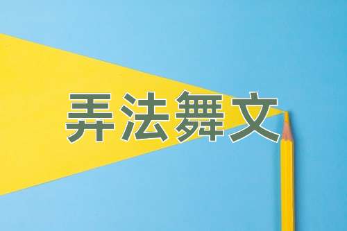 成语弄法舞文