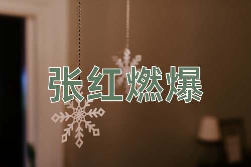 成语张红燃爆
