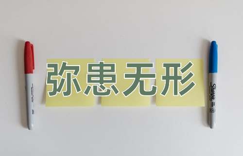 成语弥患无形