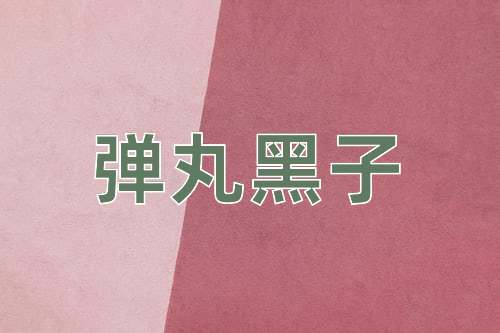 成语弹丸黑子