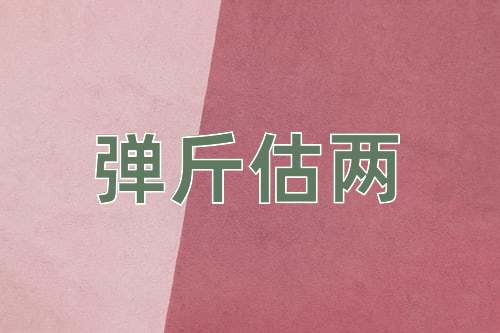 成语弹斤估两
