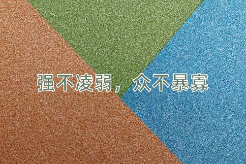 成语强不凌弱，众不暴寡