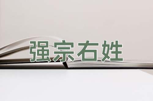 成语强宗右姓