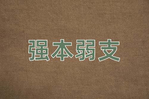 成语强本弱支