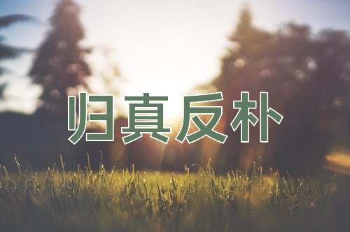 成语归真反朴