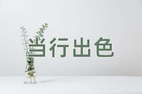 成语当行出色