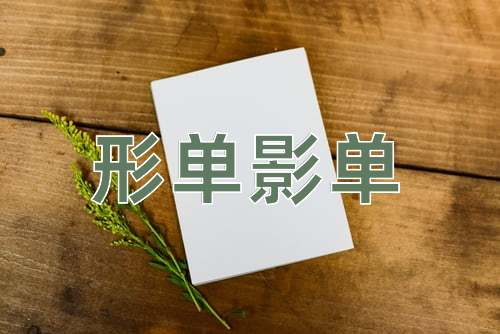 成语形单影单