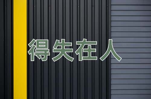 成语得失在人