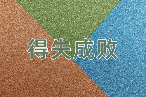 成语得失成败