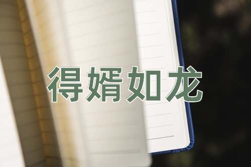 成语得婿如龙