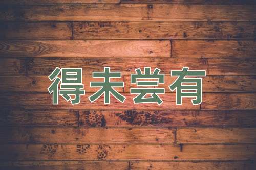 成语得未尝有