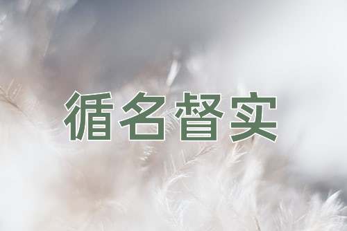 成语循名督实