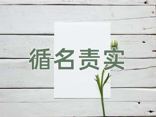 成语循名责实