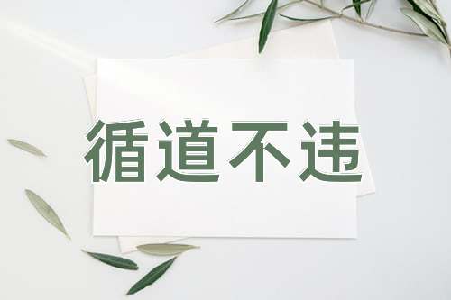 成语循道不违