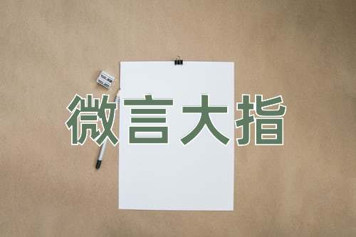 成语微言大指