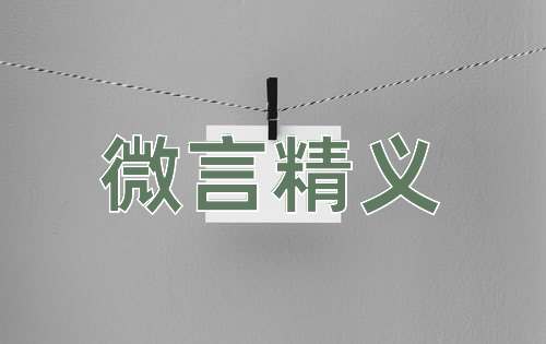 成语微言精义