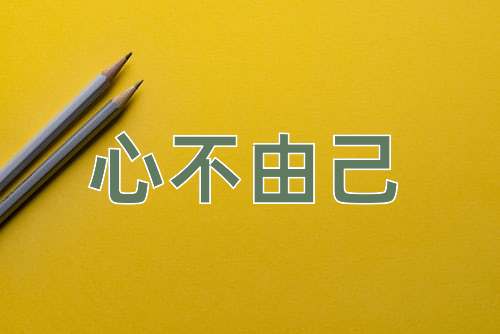 成语心不由己