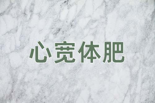 成语心宽体肥